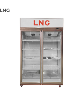 LNG 1000 Liter Double Door Anti Fog Alloy Door Visi Cooler - LNGSC100D